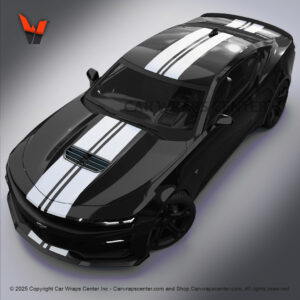 Car Decal Center Pin Style Rally Stripe