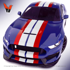 Maverik 2 colors rally stripes